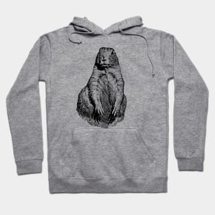 Prairie dog Hoodie